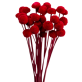 Red Preserved Billy Button | 30 Stems